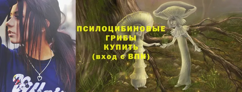 Галлюциногенные грибы MAGIC MUSHROOMS  купить   Верещагино 